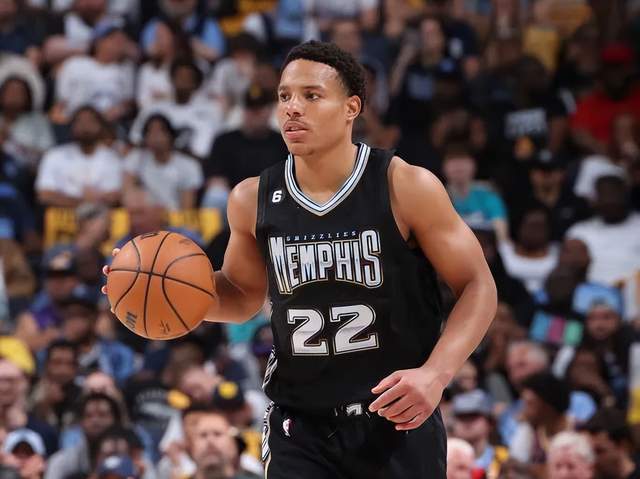 哈兰德利用 哈兰德利用