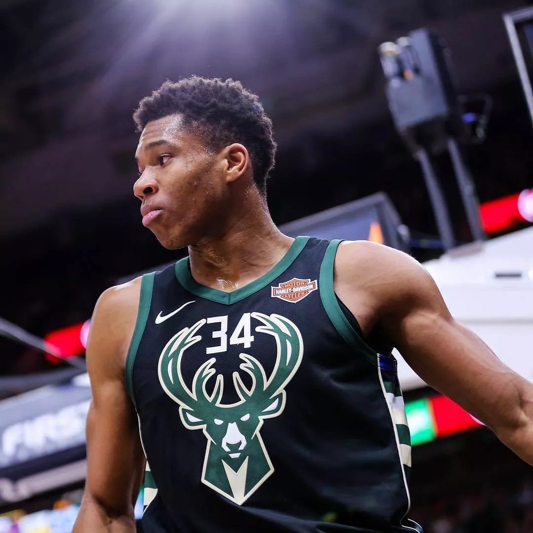 大金球场 大金球场